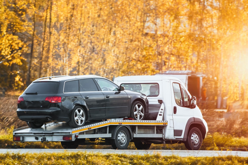 seguros de coches