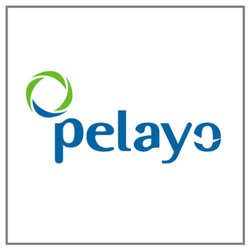 seguros pelayo